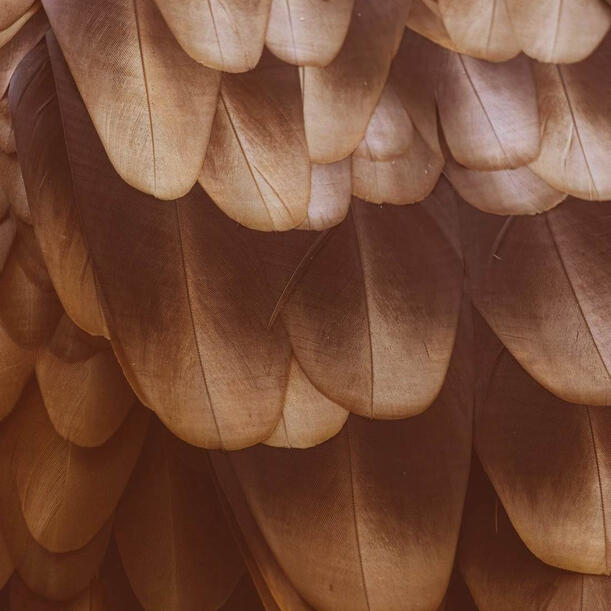 K-Hip-Hop & K-Rap Hype Playlist